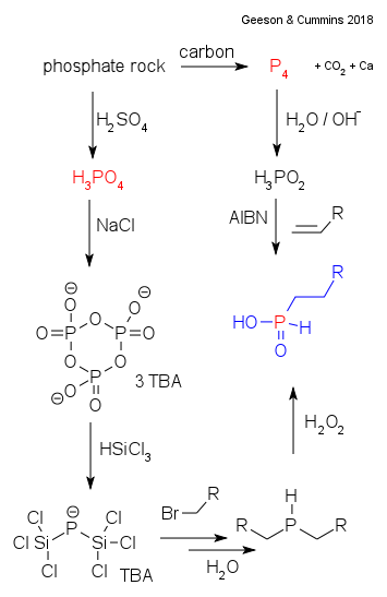 Geeson_Cummins_phosphorus_2018.png