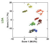 Macias_2019_Whisky_biosensor.PNG