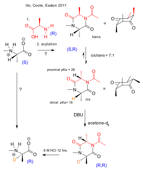 amino_acid_inversion_Easton_2011.svg.png