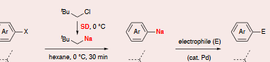 asako_2020_organosodium2.PNG