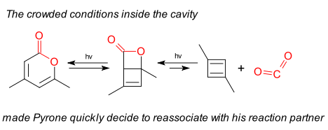 dimethylcyclobutadieneXray.svg.png