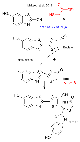 oxyluciferin_revisited.svg.png